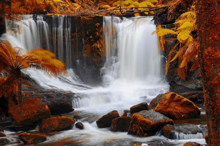 Horseshoe Falls in autumn