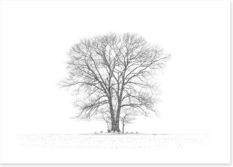 Standing alone