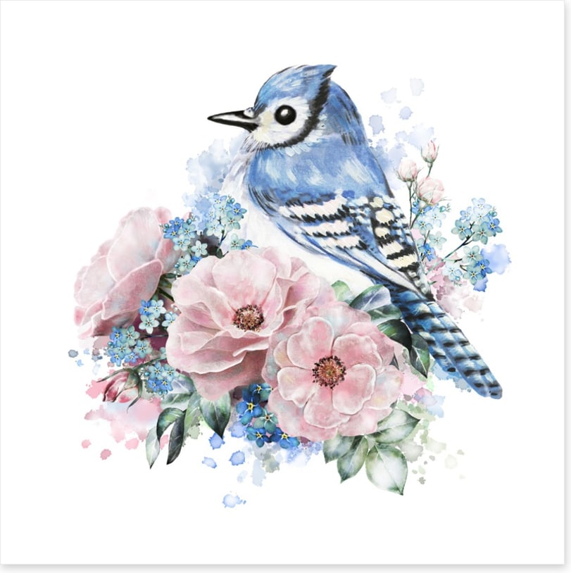 Forget me not jay
