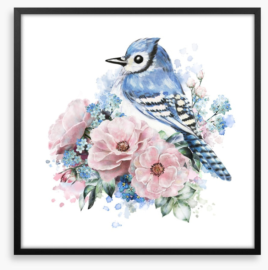Forget me not jay