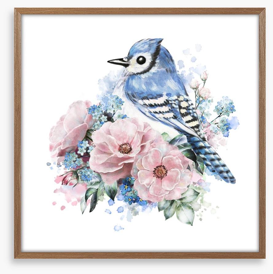 Forget me not jay