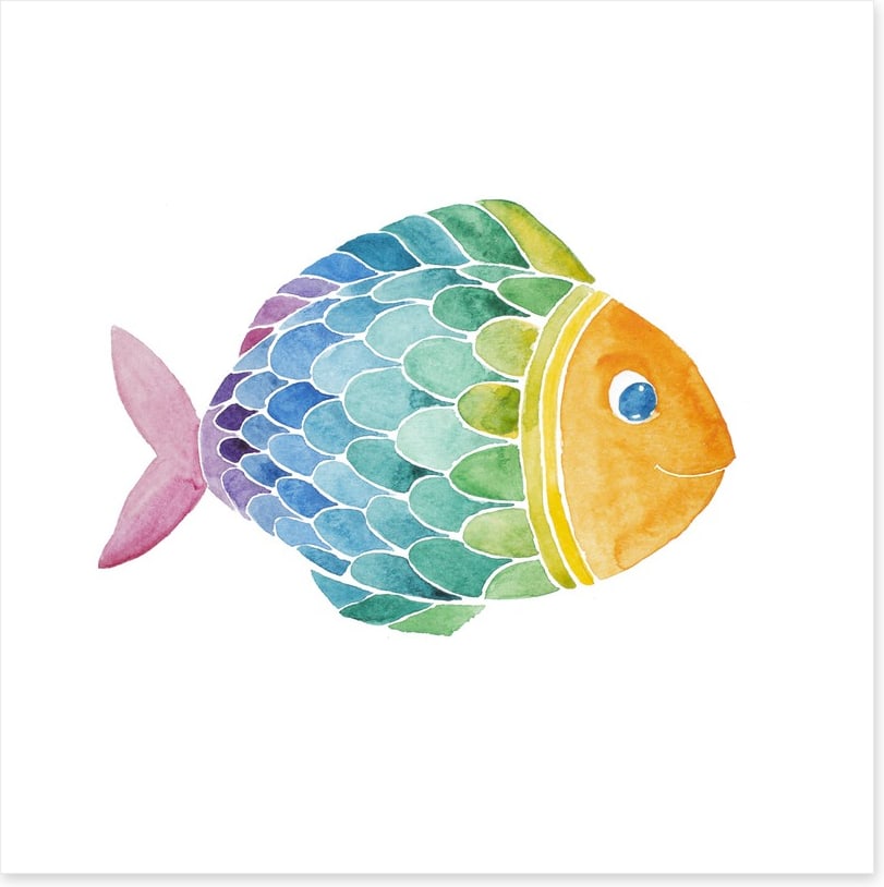 Rainbow fish