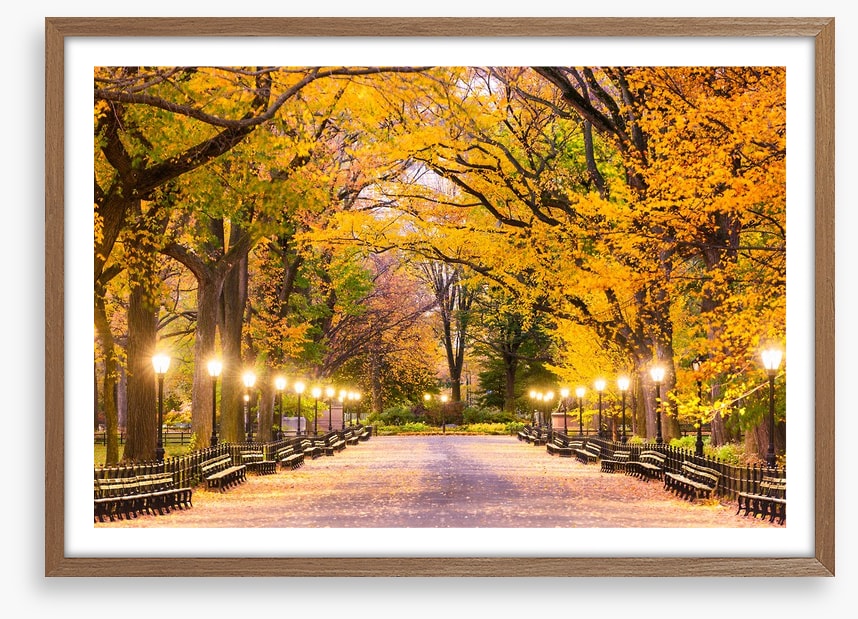 Fall at the Mall