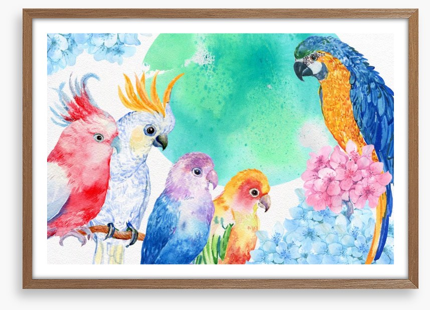 Parrot party