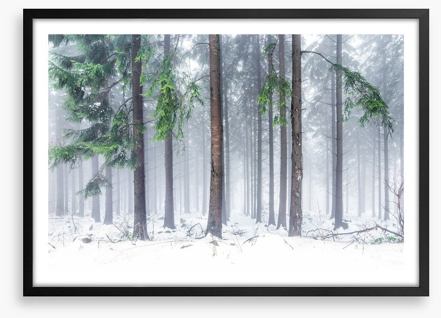 Snowfall greens