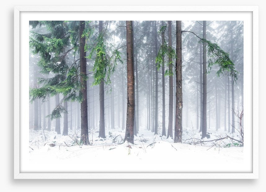 Snowfall greens