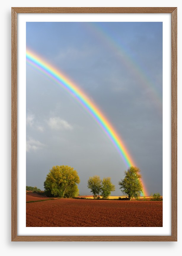 Rainbows