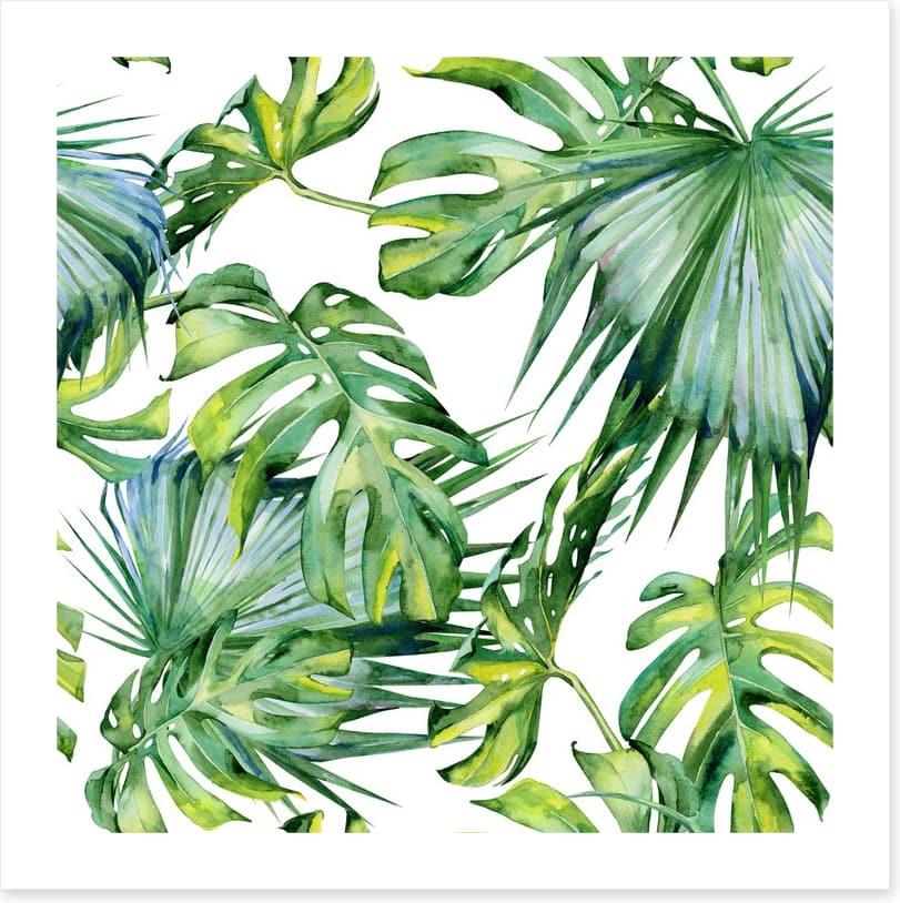 Tropical jungle leaves