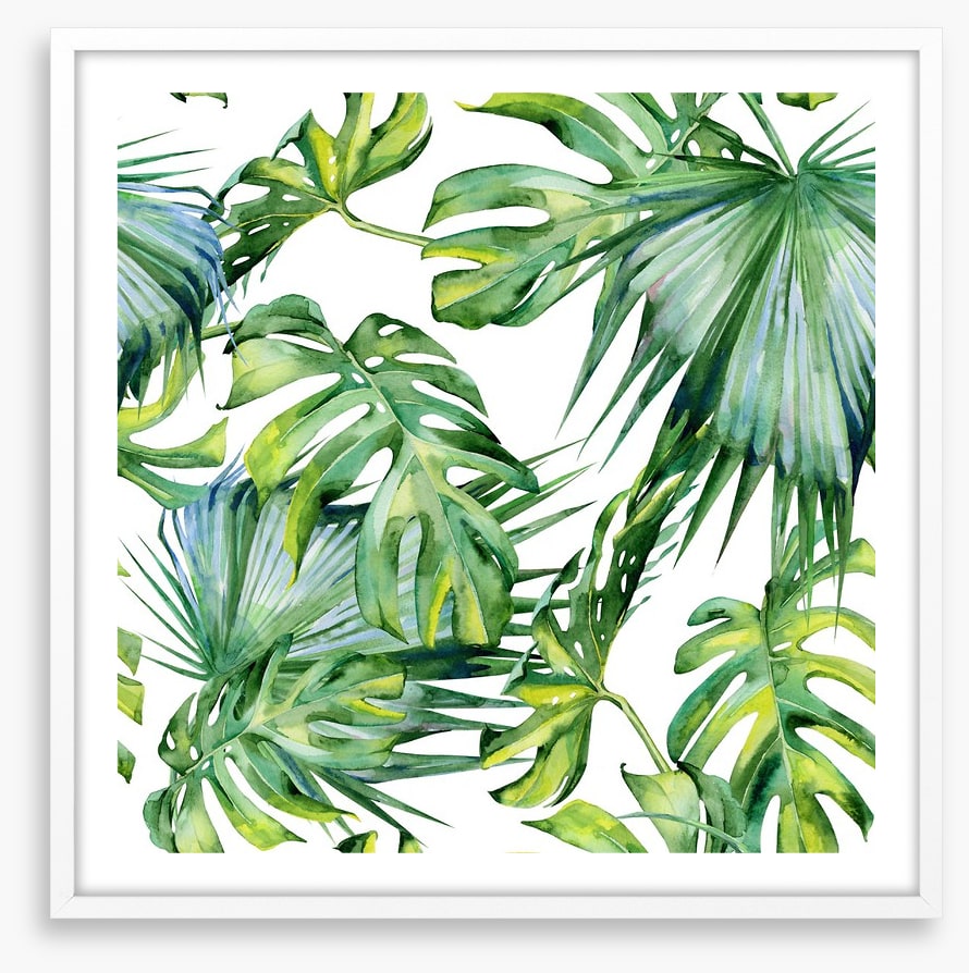 Tropical jungle leaves