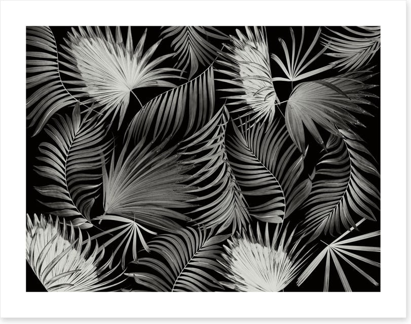 Palms in the dark