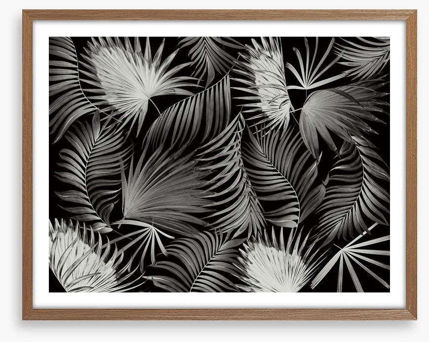 Palms in the dark