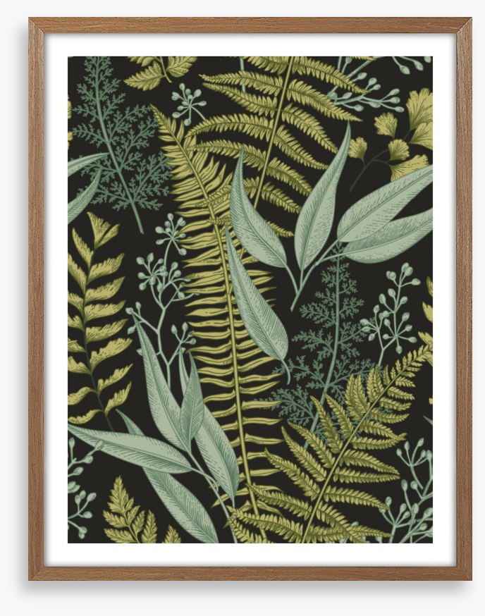Ferny friends 2