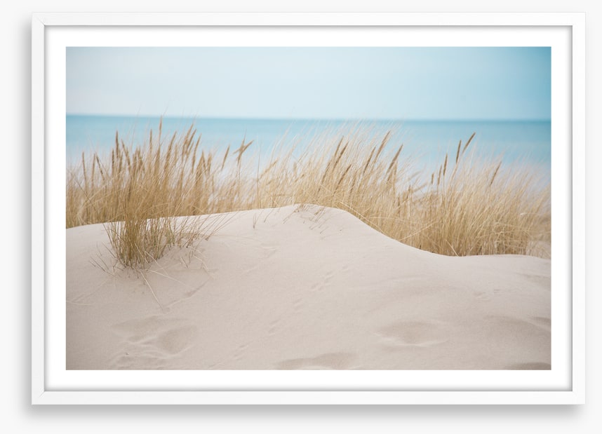 Sandgrass shores