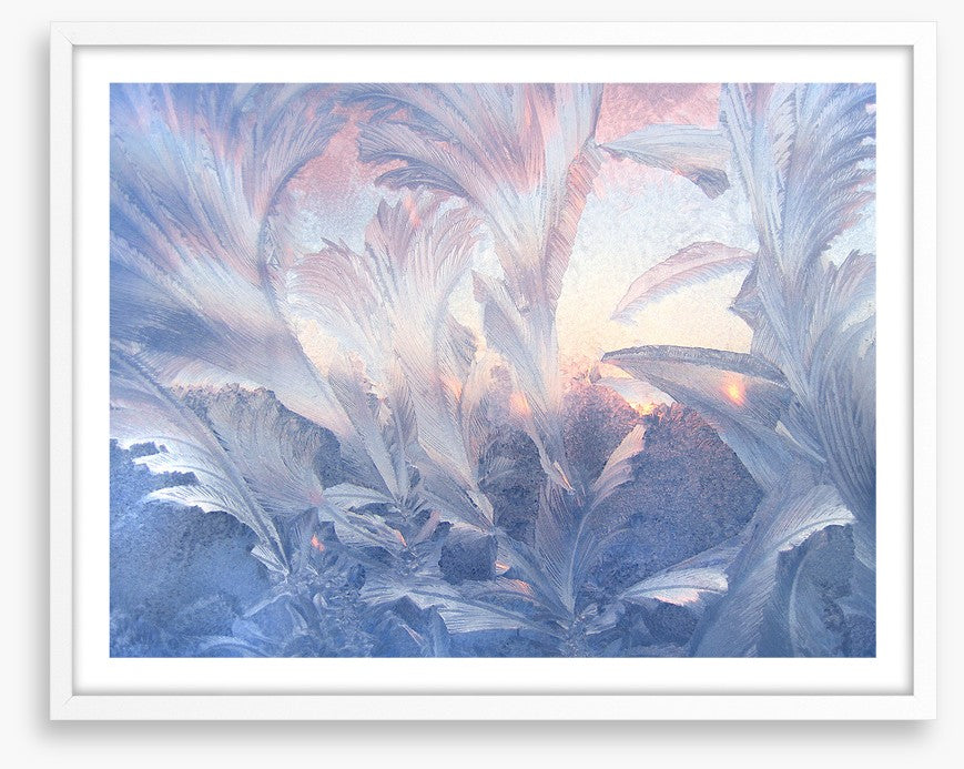 A frozen moment