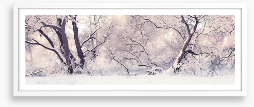 Soft snow branches