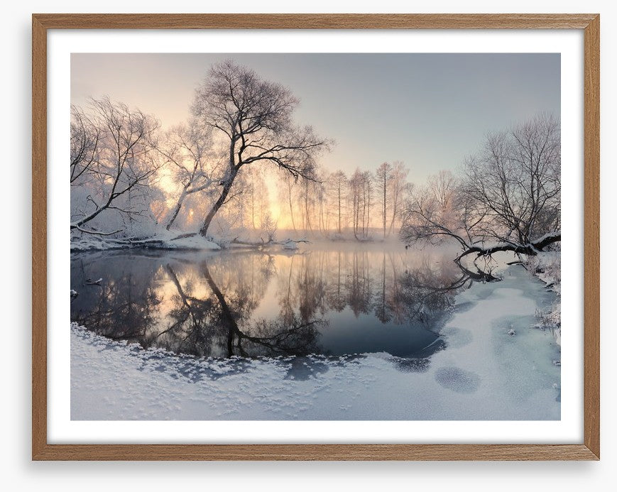 Frosty morning pond