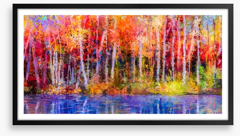 Aspen trees in fall