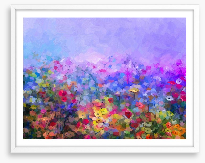 Dusk in the cosmos meadow