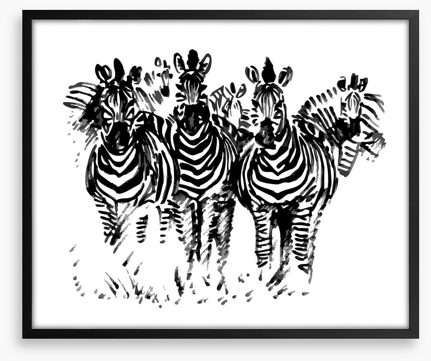 A dazzle of zebras