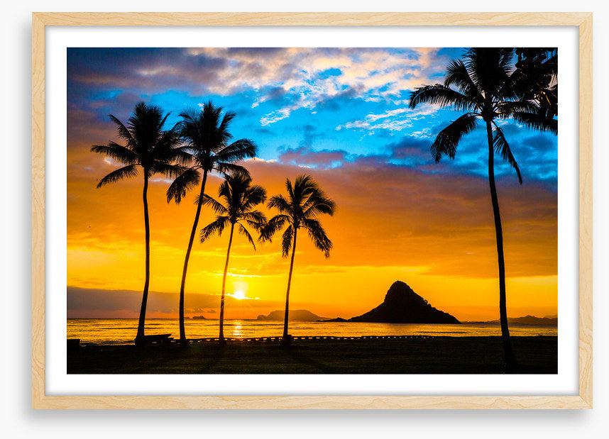 Hawaiian dream
