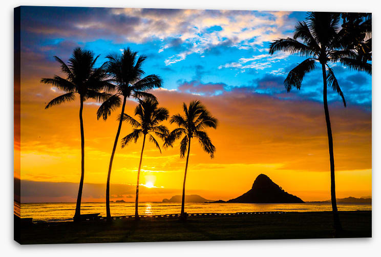 Hawaiian dream