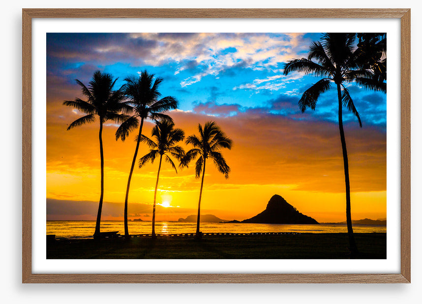 Hawaiian dream