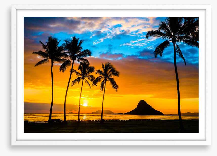 Hawaiian dream