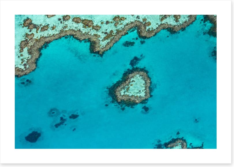 Coral reef heart