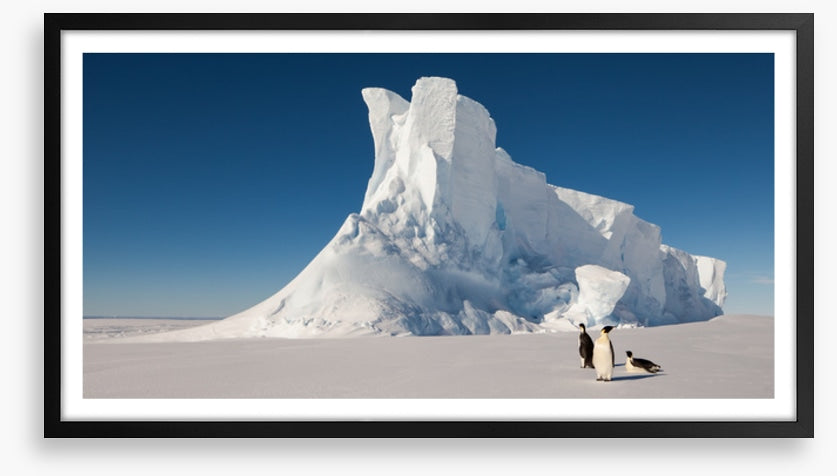 Glaciers