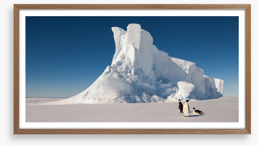 Glaciers