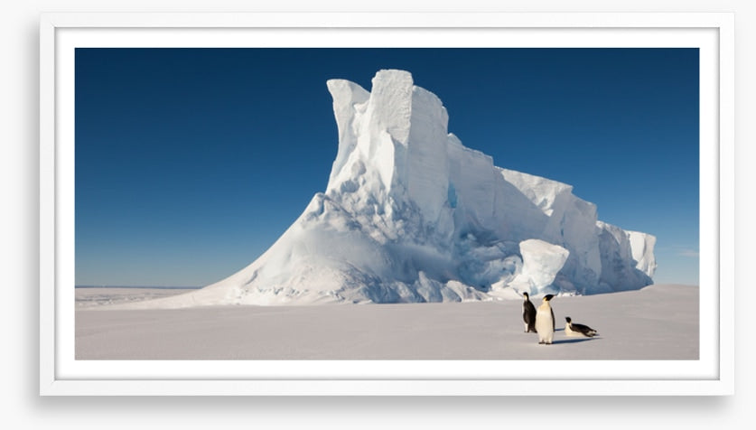 Glaciers