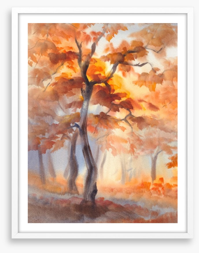 First light