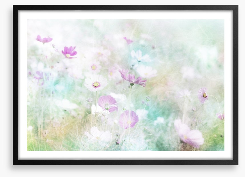 Hazy days of spring