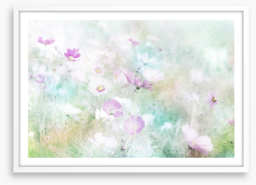 Hazy days of spring