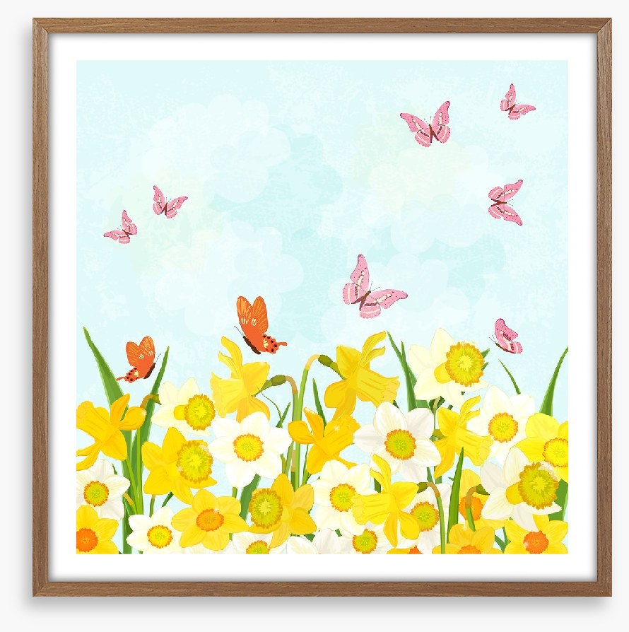Daffodil flutter