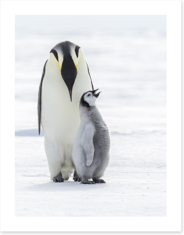Sing for your supper