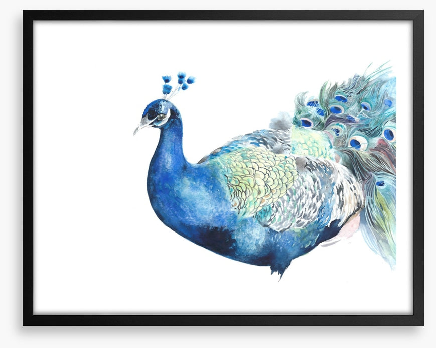 Peacock pose