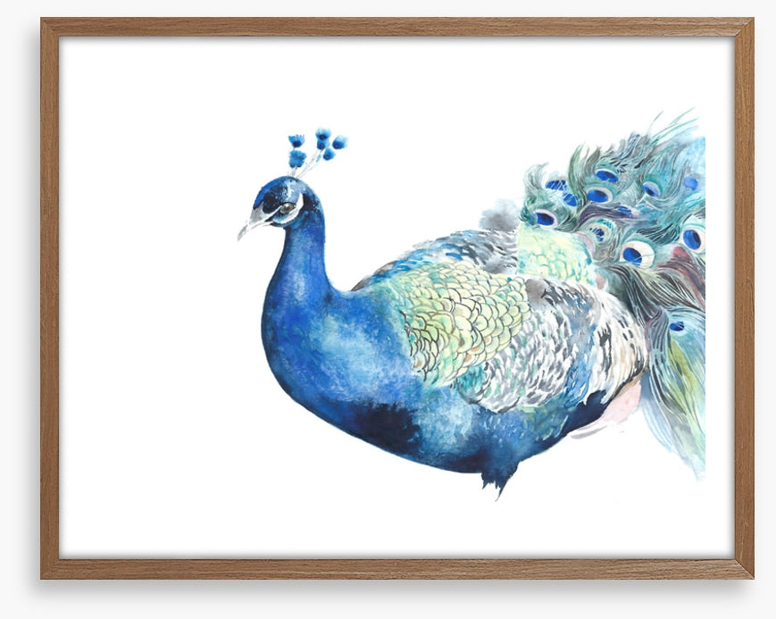 Peacock pose