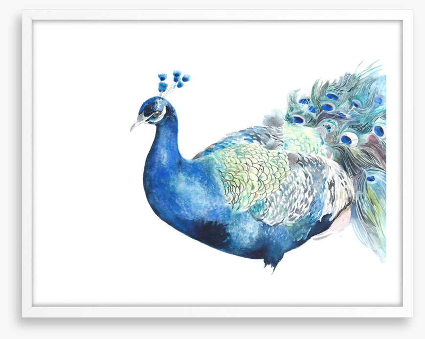 Peacock pose