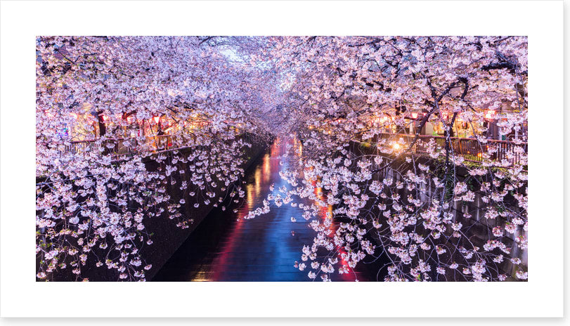 Canal of blossom