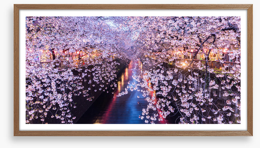 Canal of blossom