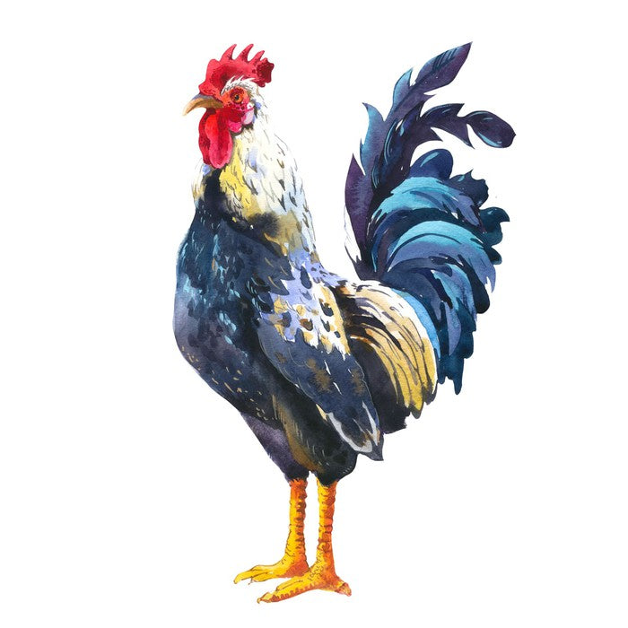 The blue rooster