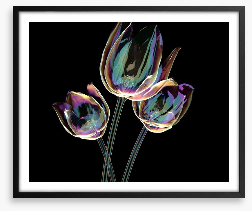 The glass tulips