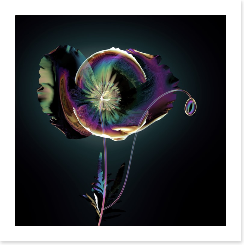 The glass poppy