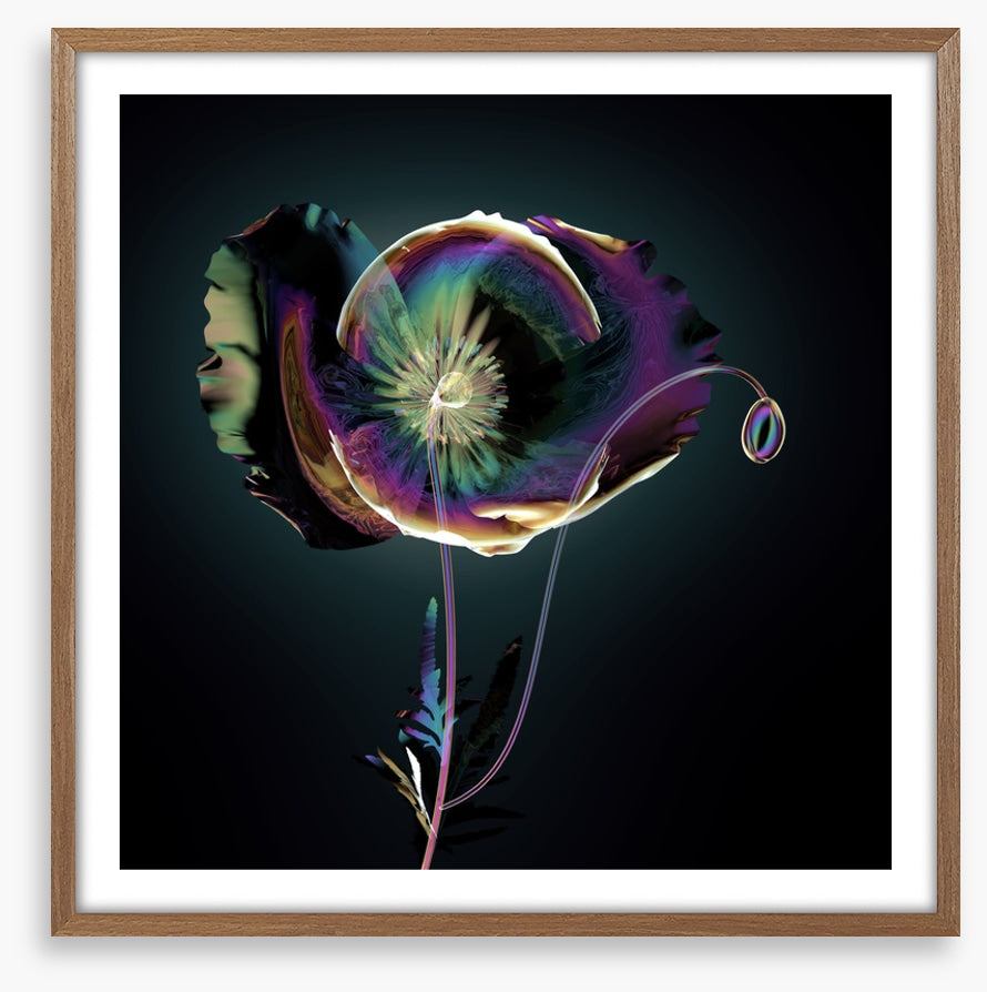 The glass poppy