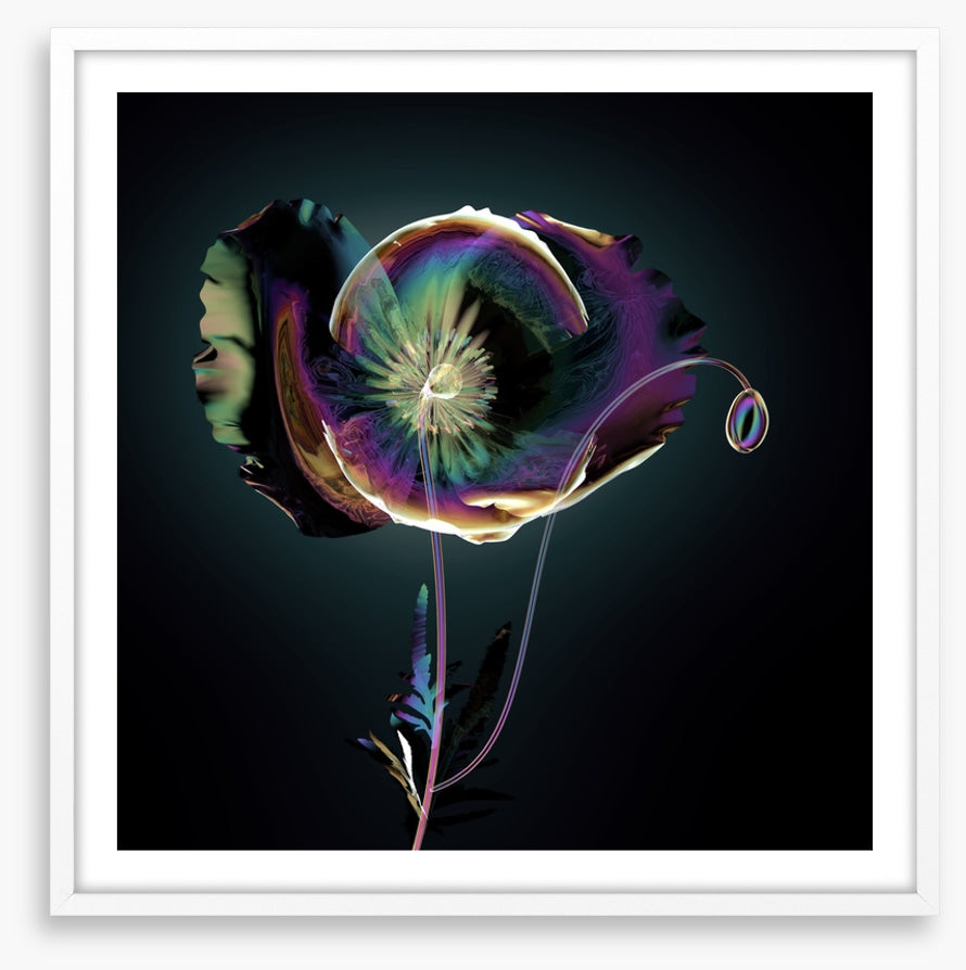 The glass poppy