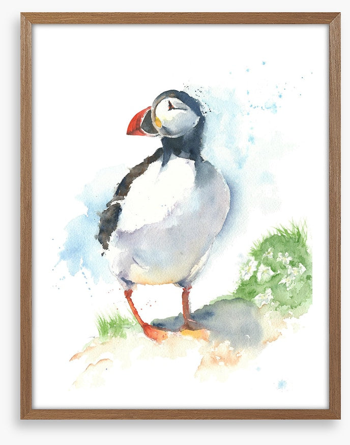 Little puffin