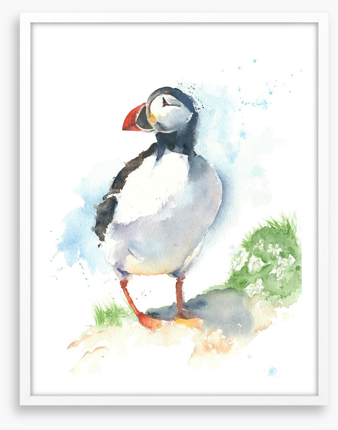 Little puffin
