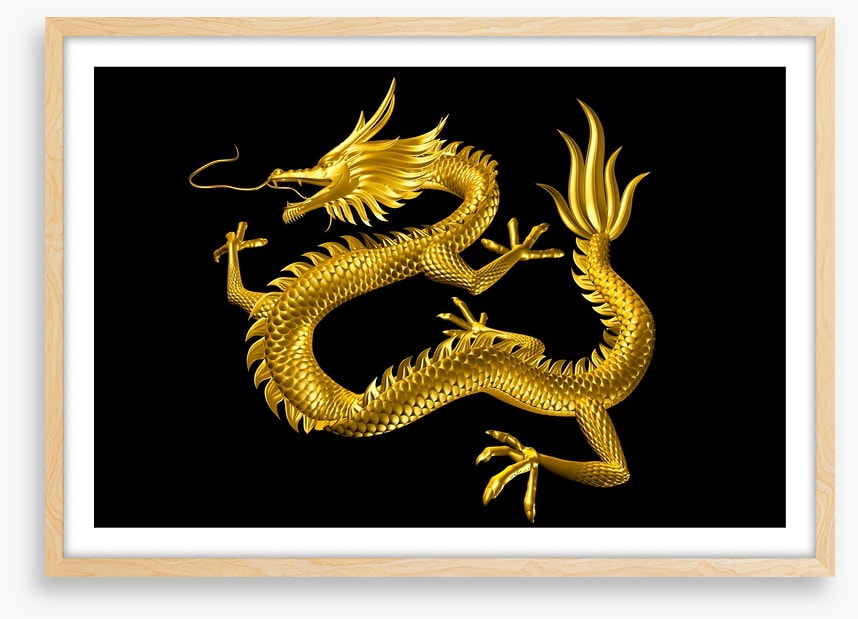 Dragons