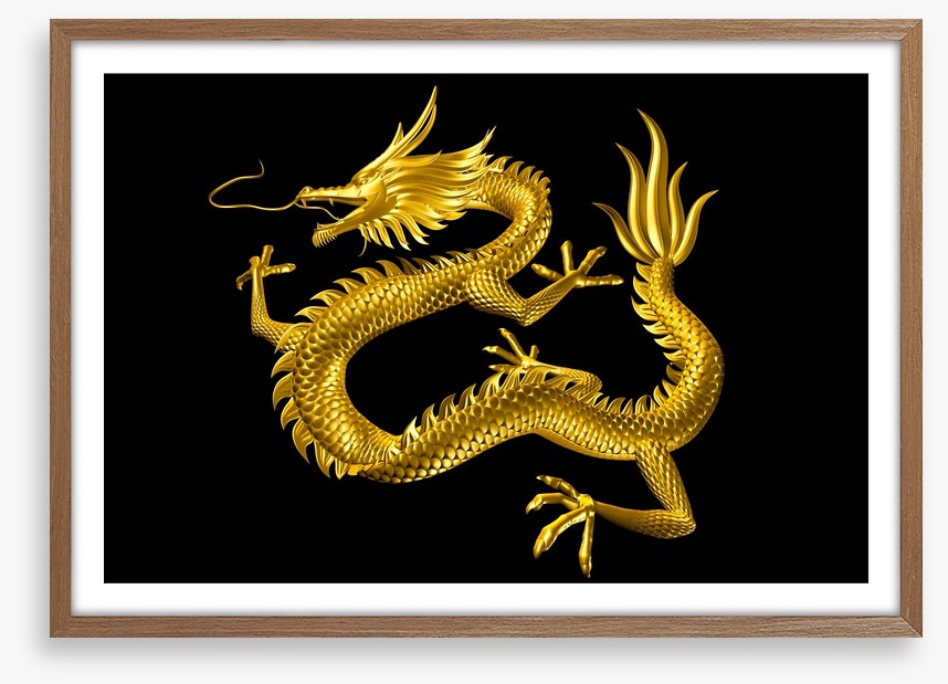 Dragons